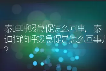 泰迪呼吸急促怎么回事，泰迪狗狗呼吸急促是怎么回事儿？