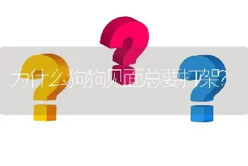 为什么狗狗见面总要打架？