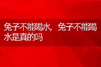 兔子不能喝水，兔子不能喝水是真的吗