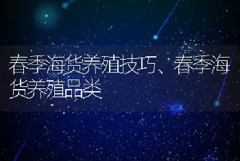 春季海货养殖技巧、春季海货养殖品类