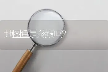 地图鱼是慈鲷吗？