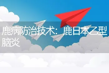 鹿病防治技术：鹿日本乙型脑炎