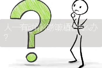 人一有动静狗狗就醒怎么办？