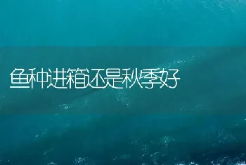 鱼种进箱还是秋季好