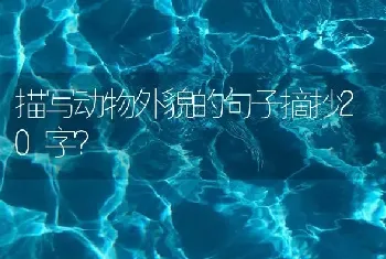 描写动物外貌的句子摘抄20字？