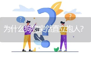 为什么狗狗突然直立抱人？