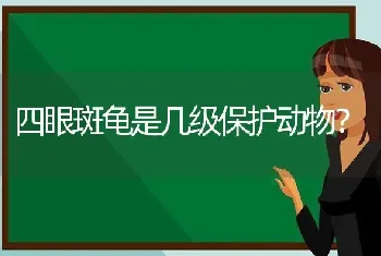 四眼斑龟是几级保护动物？