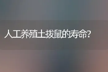 人工养殖土拨鼠的寿命？