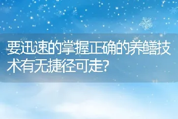 要迅速的掌握正确的养鳝技术有无捷径可走？