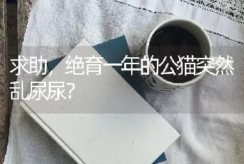 牛和狗谁的智商高？