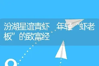 汾湖星谊青虾 年轻“虾老板”的致富经