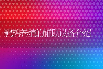 鹌鹑养殖的辅助设备介绍