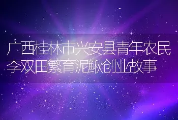 广西桂林市兴安县青年农民李双田繁育泥鳅创业故事