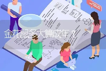 金花鼠多大算成年？