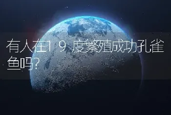 有人在19度繁殖成功孔雀鱼吗？