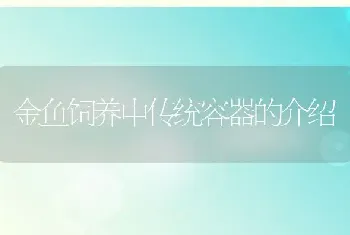 金鱼饲养中传统容器的介绍