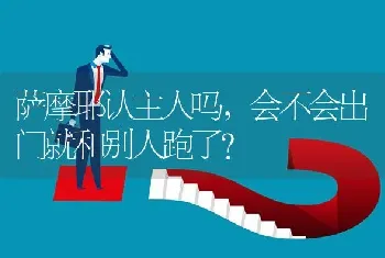 萨摩耶认主人吗，会不会出门就和别人跑了？