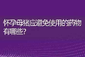 怀孕母猪应避免使用的药物有哪些？