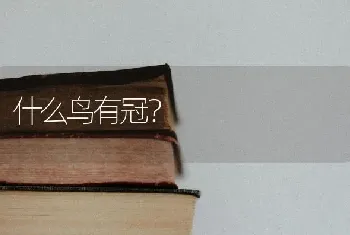 什么鸟有冠？