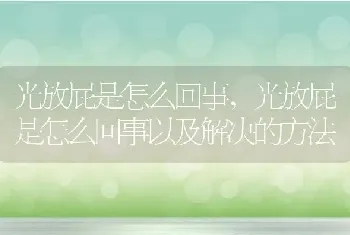 光放屁是怎么回事，光放屁是怎么回事以及解决的方法