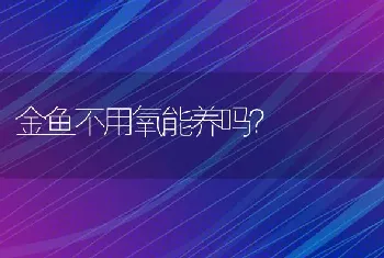 金鱼不用氧能养吗？