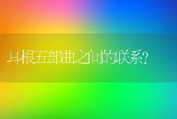 耳根五部曲之间的联系？