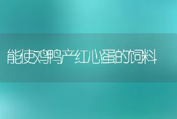 能使鸡鸭产红心蛋的饲料