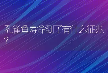 孔雀鱼寿命到了有什么征兆？