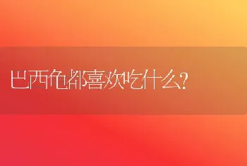 巴西龟都喜欢吃什么？