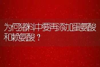 为何猪料中要再添加蛋氨酸和赖氨酸？