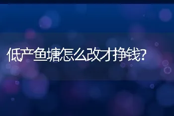 低产鱼塘怎么改才挣钱？