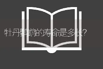 牡丹鹦鹉的寿命是多长？