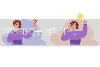 萨摩和博美的区别？