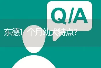 东德1个月幼犬特点？