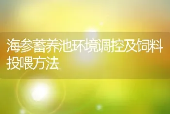 海参蓄养池环境调控及饲料投喂方法