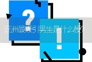 亚洲最吸引男生是什么梗？