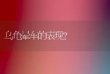 乌龟晕车的表现？