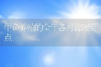 甲鱼养殖的全年各月管理要点