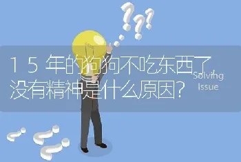 15年的狗狗不吃东西了,没有精神是什么原因？