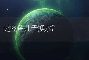 地图鱼几天换水？