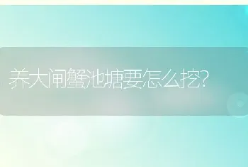 养大闸蟹池塘要怎么挖？