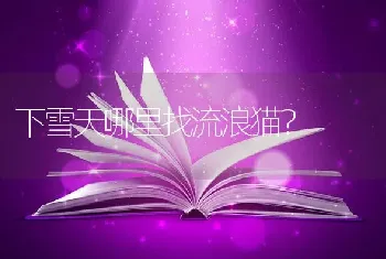 上班族养德牧的感受？