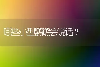 两个月大的柯基总爱睡觉怎么回事？