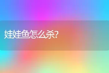 娃娃鱼怎么杀？