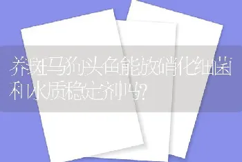 养斑马狗头鱼能放硝化细菌和水质稳定剂吗？