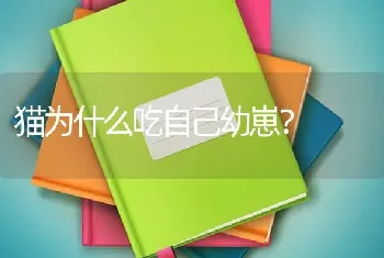 蓝短猫的优缺点？