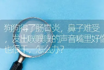 狗狗得了肠胃炎，鼻子难受，发出噗噗噗的声音嘴里好像也很干，怎么办？