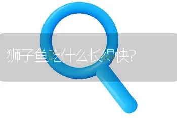 狮子鱼吃什么长得快？