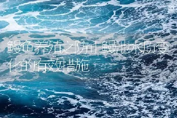 鳗鱼养殖之防止鳗池水质变化的有效措施