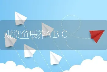 观赏鱼喂养ABC